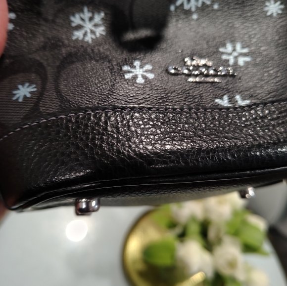 Coach Dempsey Snowflake Mini Bucket Bag - Picture 11 of 11